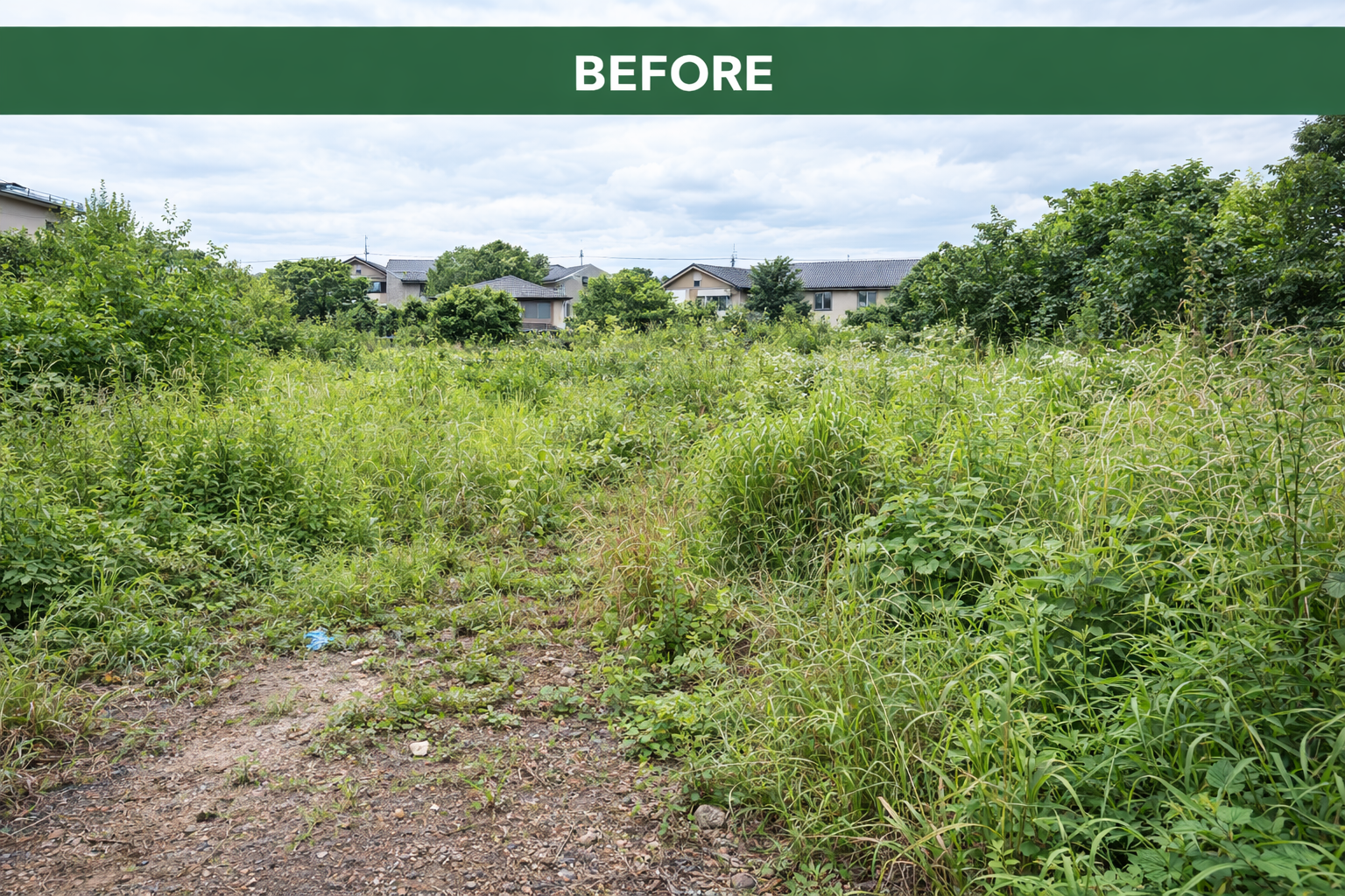 草刈り ビフォー